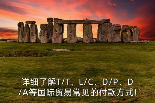 詳細(xì)了解T/T、L/C、D/P、D/A等國際貿(mào)易常見的付款方式!