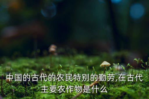 中國的古代的農民特別的勤勞,在古代主要農作物是什么