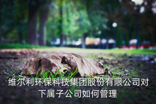  維爾利環(huán)?？萍技瘓F(tuán)股份有限公司對下屬子公司如何管理