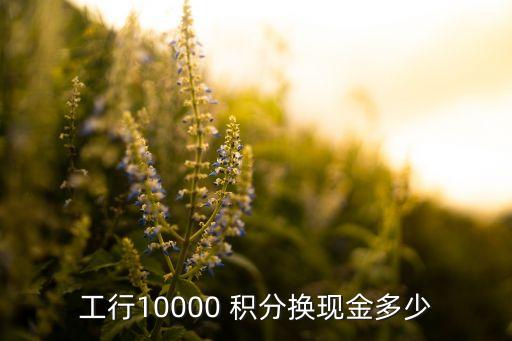 工行10000 積分換現金多少