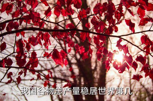 我國谷物總產量穩(wěn)居世界第幾