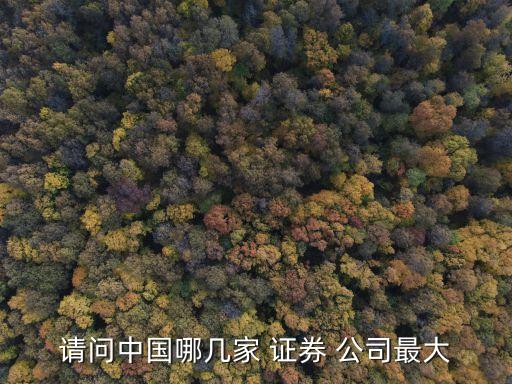 請(qǐng)問中國哪幾家 證券 公司最大