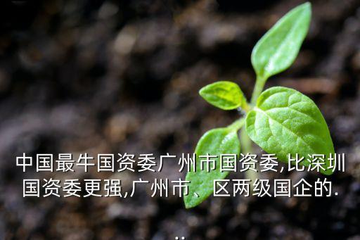中國最牛國資委廣州市國資委,比深圳國資委更強(qiáng),廣州市、區(qū)兩級國企的...