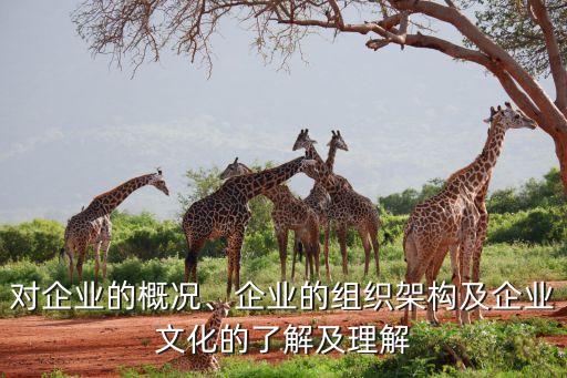 對(duì)企業(yè)的概況、企業(yè)的組織架構(gòu)及企業(yè)文化的了解及理解