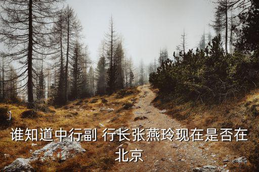 誰知道中行副 行長張燕玲現在是否在北京
