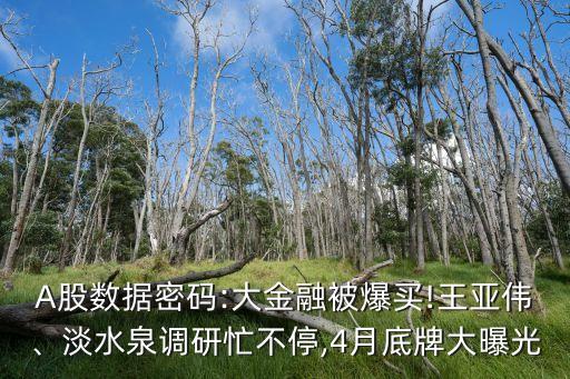 A股數(shù)據(jù)密碼:大金融被爆買!王亞偉、淡水泉調(diào)研忙不停,4月底牌大曝光