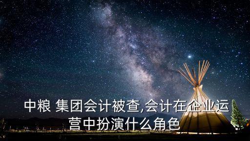  中糧 集團(tuán)會計被查,會計在企業(yè)運營中扮演什么角色