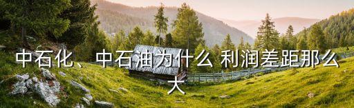 中石化、中石油為什么 利潤(rùn)差距那么大