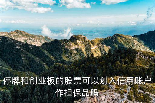 停牌和創(chuàng)業(yè)板的股票可以劃入信用賬戶作擔保品嗎