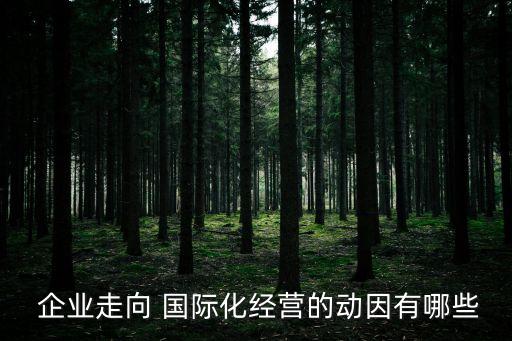  企業(yè)走向 國際化經營的動因有哪些