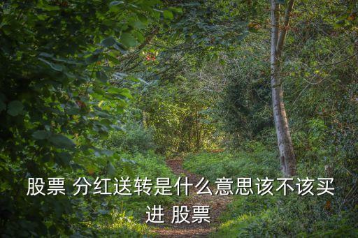  股票 分紅送轉(zhuǎn)是什么意思該不該買(mǎi)進(jìn) 股票