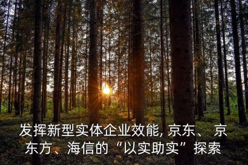 發(fā)揮新型實(shí)體企業(yè)效能, 京東、 京東方、海信的“以實(shí)助實(shí)”探索