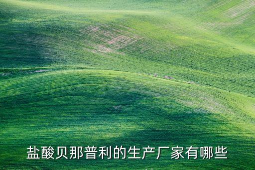 鹽酸貝那普利的生產廠家有哪些
