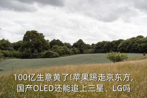 100億生意黃了!蘋果踢走京東方,國產(chǎn)OLED還能追上三星、LG嗎