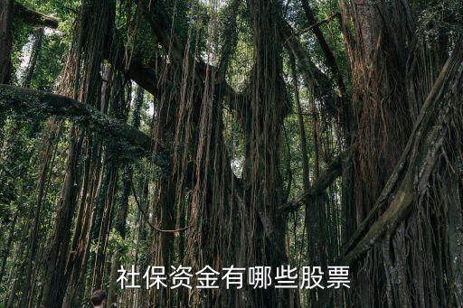 全國社?；鸾M合