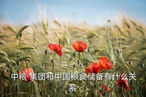  中糧 集團(tuán)和中國糧食儲備有什么關(guān)系