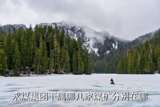 永煤集團(tuán)下屬哪幾家煤礦分別在哪