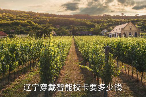 遼寧穿戴智能?？ㄒ嗌馘X(qián)