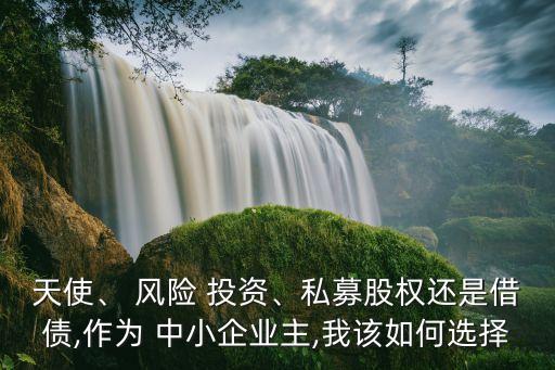 天使、 風險 投資、私募股權還是借債,作為 中小企業(yè)主,我該如何選擇