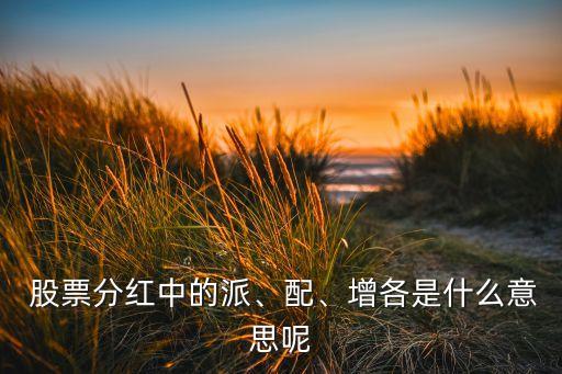  股票分紅中的派、配、增各是什么意思呢