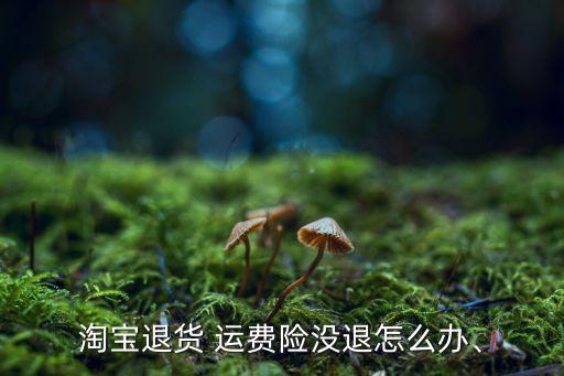淘寶退貨 運(yùn)費(fèi)險(xiǎn)沒退怎么辦、