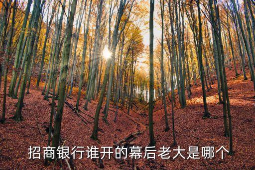  招商銀行誰開的幕后老大是哪個(gè)