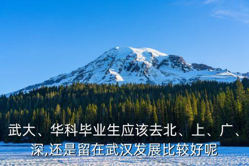武大、華科畢業(yè)生應該去北、上、廣、深,還是留在武漢發(fā)展比較好呢