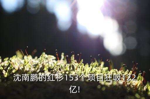 沈南鵬的紅杉153個項(xiàng)目狂吸122億!
