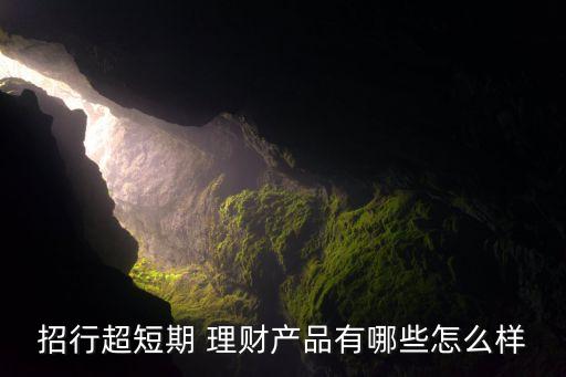 招行超短期 理財產(chǎn)品有哪些怎么樣