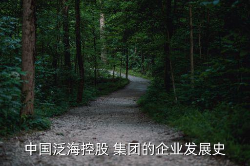 中國泛海控股 集團(tuán)的企業(yè)發(fā)展史