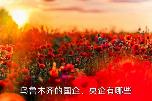 烏魯木齊的國企、央企有哪些