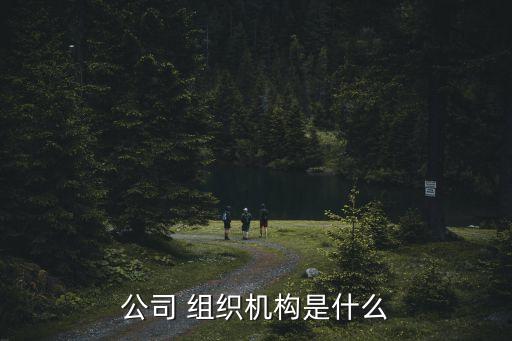 中鋼貿(mào)易有限公司企業(yè)組織結(jié)構分析