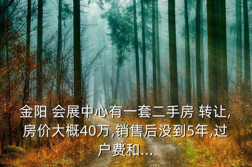 金陽 會展中心有一套二手房 轉(zhuǎn)讓,房價(jià)大概40萬,銷售后沒到5年,過戶費(fèi)和...