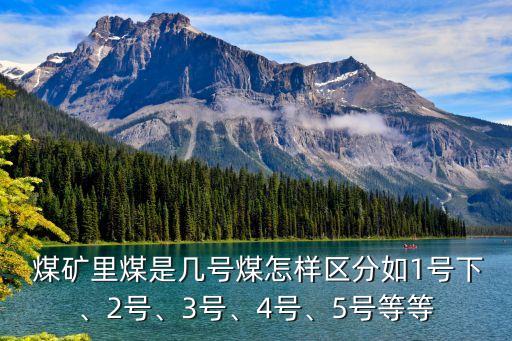  煤礦里煤是幾號煤怎樣區(qū)分如1號下、2號、3號、4號、5號等等