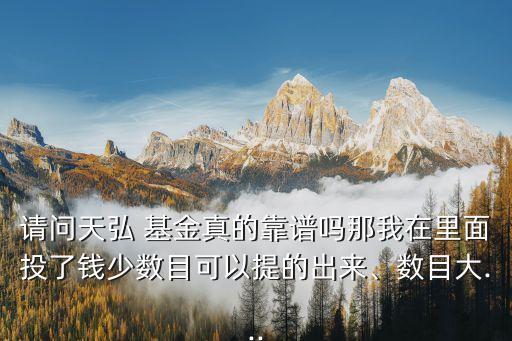請(qǐng)問(wèn)天弘 基金真的靠譜嗎那我在里面投了錢(qián)少數(shù)目可以提的出來(lái)、數(shù)目大...