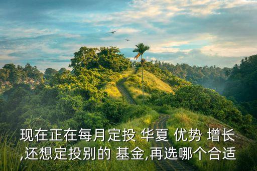 現在正在每月定投 華夏 優(yōu)勢 增長,還想定投別的 基金,再選哪個合適