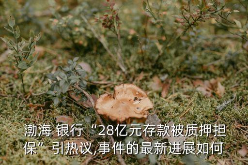  渤海 銀行“28億元存款被質(zhì)押擔(dān)?！币裏嶙h,事件的最新進(jìn)展如何