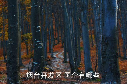 煙臺(tái)萬華集團(tuán)是國企嗎,萬華化學(xué)為什么工資這么高