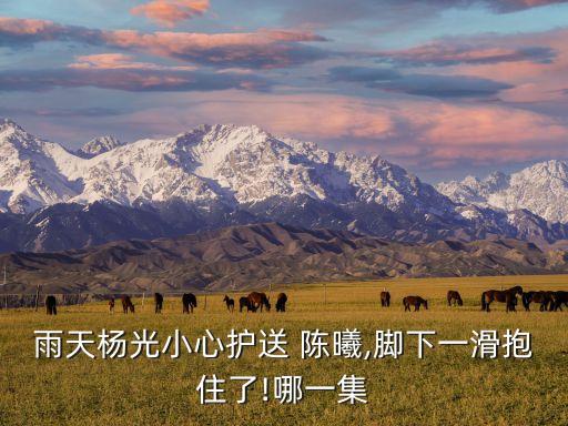 北京人民銀行總行陳曦,人民銀行上?？偛亢捅本┛傂袇^(qū)別