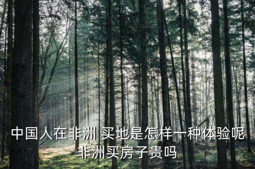 中國(guó)人在非洲 買(mǎi)地是怎樣一種體驗(yàn)?zāi)胤侵拶I(mǎi)房子貴嗎