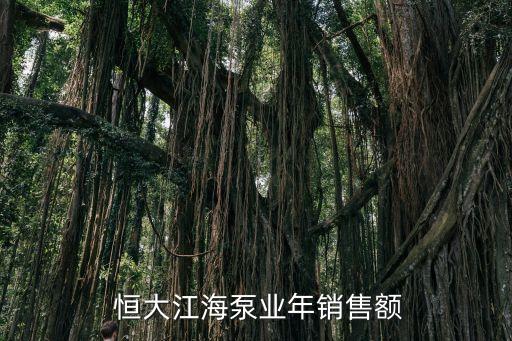  恒大江海泵業(yè)年銷(xiāo)售額