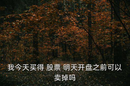 我今天買(mǎi)得 股票 明天開(kāi)盤(pán)之前可以賣(mài)掉嗎