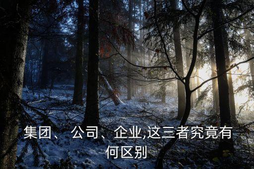  集團(tuán)、 公司、企業(yè),這三者究竟有何區(qū)別