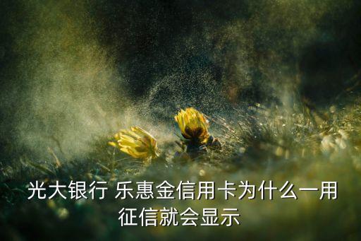  光大銀行 樂惠金信用卡為什么一用征信就會(huì)顯示