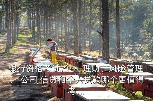 銀行資格考試,個(gè)人 理財(cái)、風(fēng)險(xiǎn)管理、 公司 信貸和個(gè)人貸款哪個(gè)更值得考...
