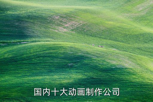 國(guó)內(nèi)十大動(dòng)畫(huà)制作公司