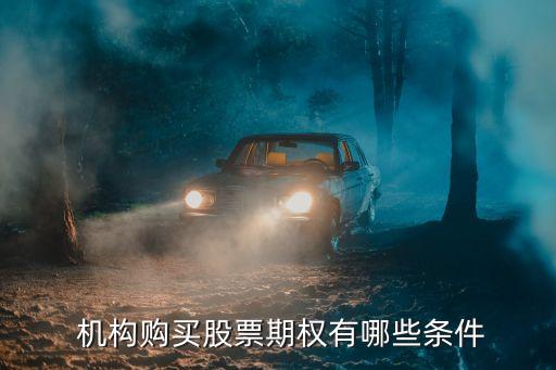  機(jī)構(gòu)購(gòu)買股票期權(quán)有哪些條件