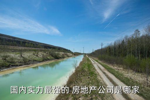 國內(nèi)實力最強(qiáng)的 房地產(chǎn)公司是哪家