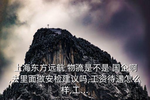 上海東方遠(yuǎn)航 物流是不是 國(guó)企啊,去里面做安檢建議嗎,工資待遇怎么樣,工...