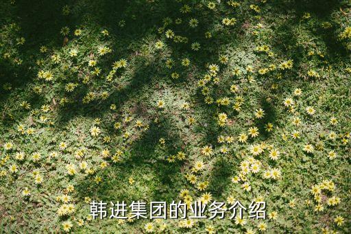  韓進(jìn)集團的業(yè)務(wù)介紹